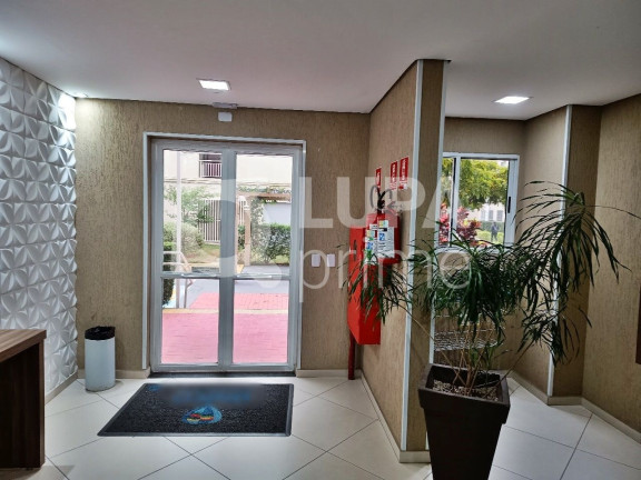 Imagem Apartamento com 2 Quartos à Venda, 45 m² em Ponte Grande - Guarulhos Imagem Apartamento com 2 Quartos à Venda, 45 m² em Ponte Grande - Guarulhos
