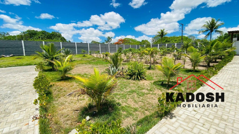 Imagem Imóvel com 4 Quartos à Venda, 200 m² em Ponto Central - Matinha Imagem Imóvel com 4 Quartos à Venda, 200 m² em Ponto Central - Matinha