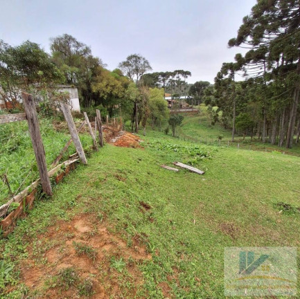 Imagem Terreno à Venda, 1.600 m² em Colonia Murici - São José Dos Pinhais Imagem Terreno à Venda, 1.600 m² em Colonia Murici - São José Dos Pinhais