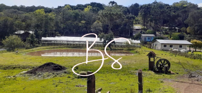 Imagem Imóvel com 2 Quartos à Venda, em Linha Araripe - Nova Petrópolis Imagem Imóvel com 2 Quartos à Venda, em Linha Araripe - Nova Petrópolis
