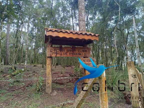 Imagem Chácara com 8 Quartos à Venda, 33.000 m² em Rio Da Várzea - Quitandinha Imagem Chácara com 8 Quartos à Venda, 33.000 m² em Rio Da Várzea - Quitandinha