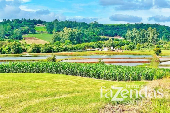 Imagem Fazenda à Venda, 187.200 m² em Vila Nova - Toledo Imagem Fazenda à Venda, 187.200 m² em Vila Nova - Toledo