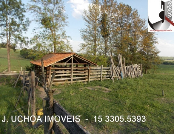 Imagem Imóvel com 3 Quartos à Venda, 190 m² em Perobas - Pereiras Imagem Imóvel com 3 Quartos à Venda, 190 m² em Perobas - Pereiras