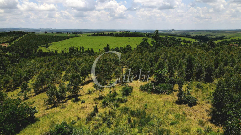 Imagem Chácara à Venda, 4 m² em área Rural De Mogi Guaçu - Mogi Guaçu Imagem Chácara à Venda, 4 m² em área Rural De Mogi Guaçu - Mogi Guaçu