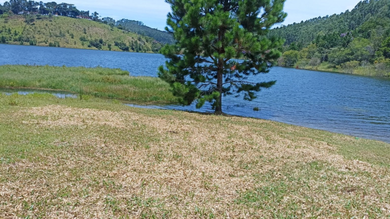 Imagem Chácara com 3 Quartos à Venda, 500 m² em Centro - Paraibuna