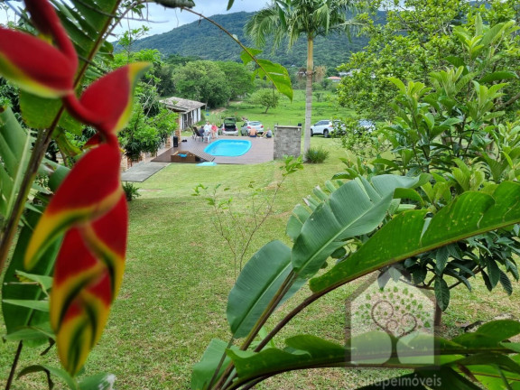 Imagem Imóvel com 3 Quartos à Venda, 12.272 m² em Vargem Grande - Florianópolis Imagem Imóvel com 3 Quartos à Venda, 12.272 m² em Vargem Grande - Florianópolis