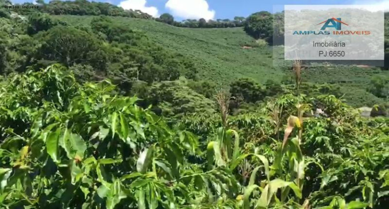 Imagem Fazenda à Venda, 35 m² em Manhumirim