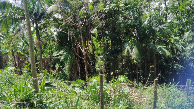 Imagem Terreno à Venda, 1.748 m² em Sete Praias - São Paulo Imagem Terreno à Venda, 1.748 m² em Sete Praias - São Paulo