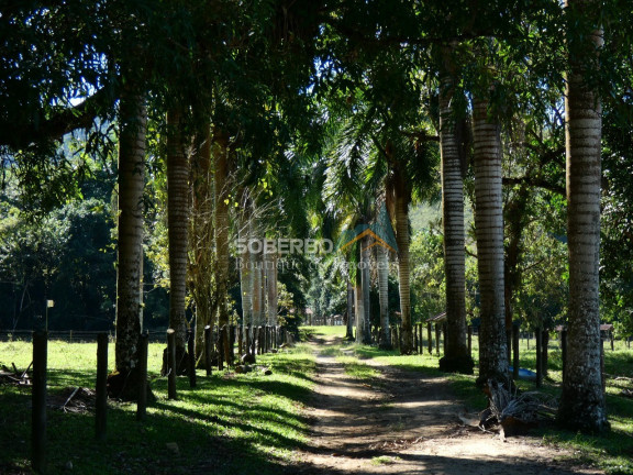 Imagem Imóvel com 8 Quartos à Venda, 6.000.000 m² em Gaviões - Silva Jardim Imagem Imóvel com 8 Quartos à Venda, 6.000.000 m² em Gaviões - Silva Jardim