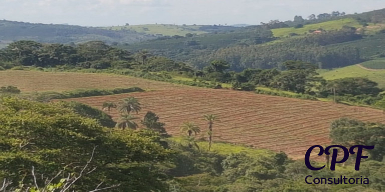 Imagem Imóvel com 6 Quartos à Venda, em Centro - Poços De Caldas Imagem Imóvel com 6 Quartos à Venda, em Centro - Poços De Caldas