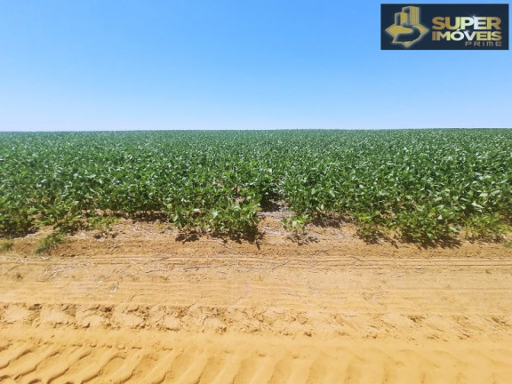 Imagem Imóvel com 3 Quartos à Venda, 21.000.000 m² em área Rural De Cachoeira Do Sul - Cachoeira Do Sul