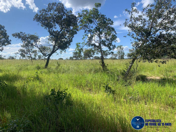 Imagem Fazenda à Venda, 1 m² em Zona Rural - Recursolândia Imagem Fazenda à Venda, 1 m² em Zona Rural - Recursolândia