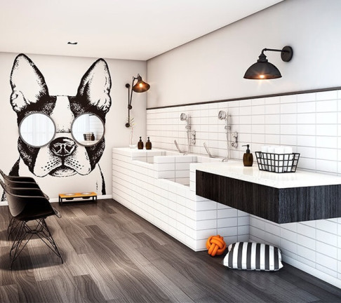 Imagem Apartamento com 1 Quarto à Venda, 20 m² em Planalto Paulista - São Paulo Imagem Apartamento com 1 Quarto à Venda, 20 m² em Planalto Paulista - São Paulo