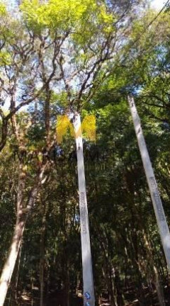 Imagem Chácara à Venda, 7.000 m² em Vila Franca - Piraquara Imagem Chácara à Venda, 7.000 m² em Vila Franca - Piraquara