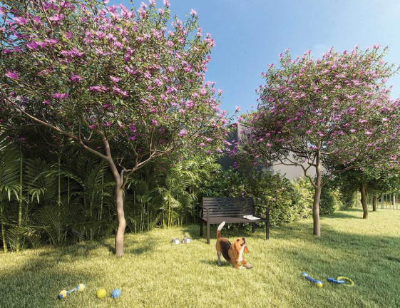 Imagem Imóvel com 1 Quarto à Venda,  em Ibirapuera - São Paulo