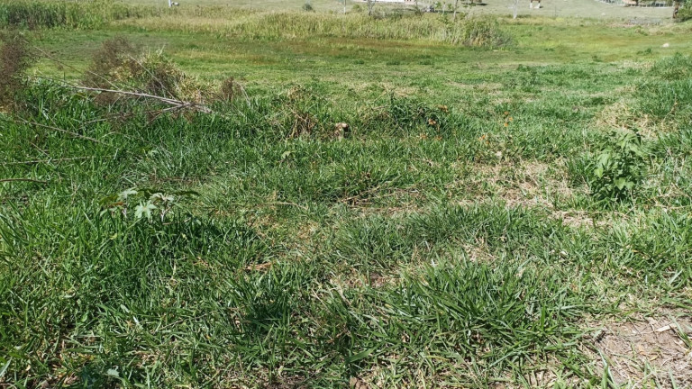Imagem Chácara com 2 Quartos à Venda, 200 m² em Vila Amelia - Paraibuna