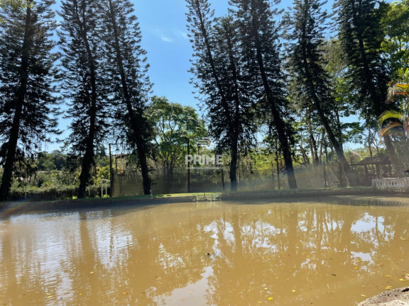 Imagem Chácara com 5 Quartos à Venda, 300 m² em Centro - Salesópolis