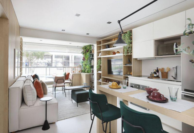 Imagem Apartamento com 2 Quartos à Venda, 66 m² em Chácara Klabin - São Paulo