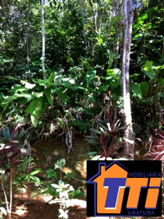 Imagem Terreno à Venda, 1.010 m² em Toninhas - Ubatuba Imagem Terreno à Venda, 1.010 m² em Toninhas - Ubatuba