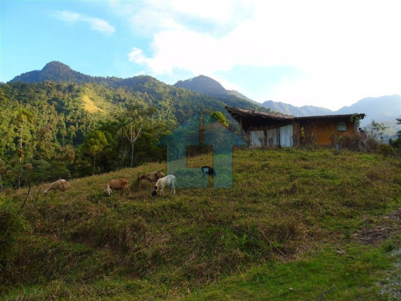 Imagem Fazenda à Venda, 650.000 m² em Bracuí - Angra Dos Reis Imagem Fazenda à Venda, 650.000 m² em Bracuí - Angra Dos Reis