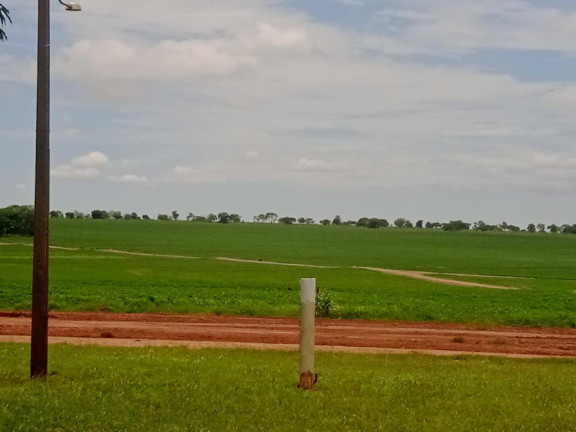 Imagem Fazenda à Venda, 8.100 m² em Rural - Chapadão Do Sul