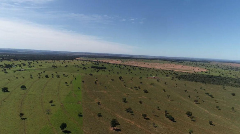 Imagem Fazenda à Venda, 8.100 m² em Rural - Chapadão Do Sul