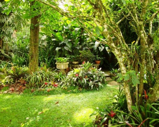 Imagem Imóvel com 2 Quartos à Venda, 232 m² em Vila Olinda - Nova Petrópolis Imagem Imóvel com 2 Quartos à Venda, 232 m² em Vila Olinda - Nova Petrópolis