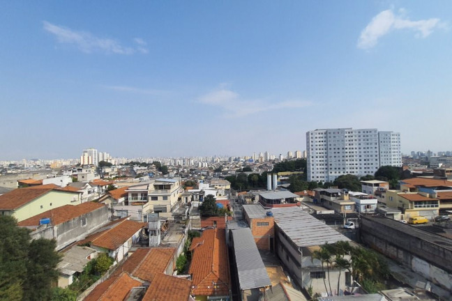 Imagem Apartamento com 3 Quartos à Venda, 79 m² em Casa Verde Alta - São Paulo Imagem Apartamento com 3 Quartos à Venda, 79 m² em Casa Verde Alta - São Paulo