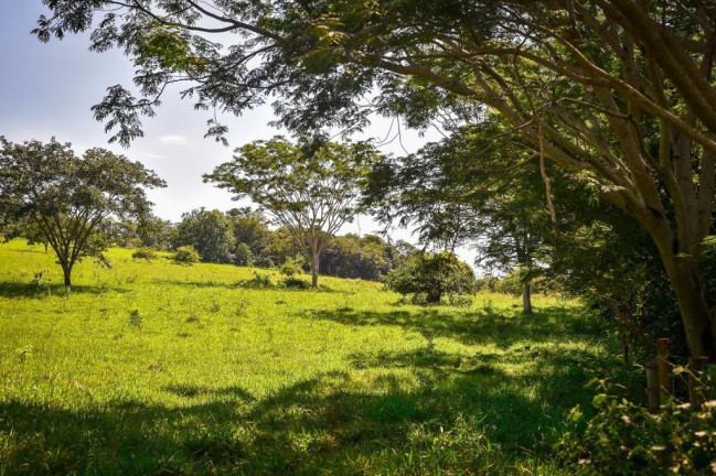 Imagem Fazenda à Venda, 2.000 m² em Zona Rural - Conquista Imagem Fazenda à Venda, 2.000 m² em Zona Rural - Conquista