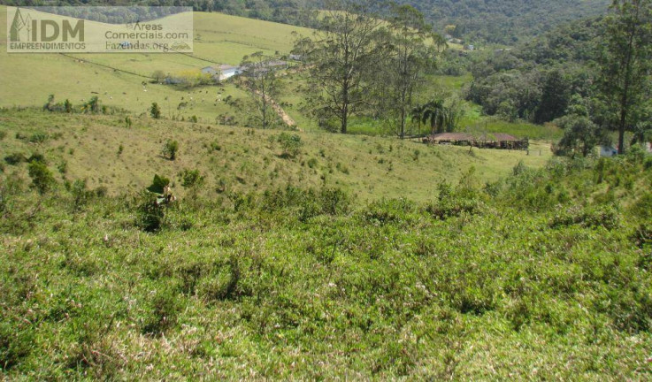 Imagem Chácara à Venda, 2.650.000 m² em Centro - São Lourenço Da Serra