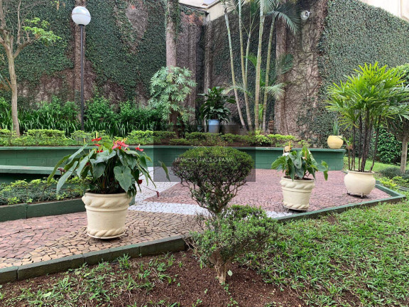 Imagem Apartamento com 2 Quartos à Venda, 42 m² em Parque Peruche - São Paulo Imagem Apartamento com 2 Quartos à Venda, 42 m² em Parque Peruche - São Paulo