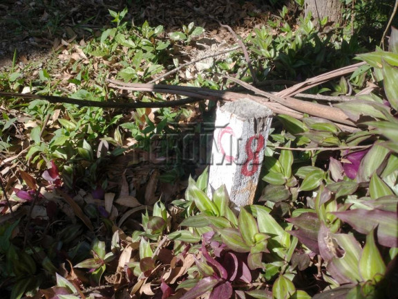 Imagem Terreno à Venda, 1.124 m² em Barreiro - Mairiporã Imagem Terreno à Venda, 1.124 m² em Barreiro - Mairiporã