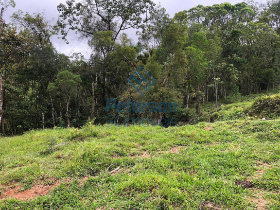 Imagem Chácara com 3 Quartos à Venda, 1.200.000 m² em Lageado Alto - Guabiruba Imagem Chácara com 3 Quartos à Venda, 1.200.000 m² em Lageado Alto - Guabiruba