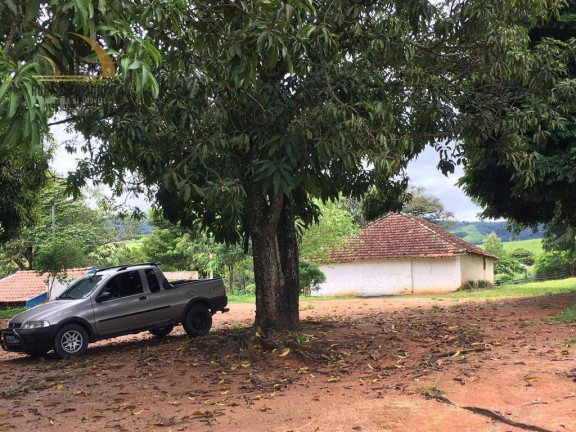 Imagem Fazenda à Venda, 968.000 m² em São Luis - Jacutinga