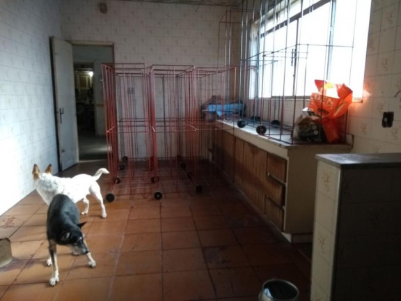 Imagem Casa com 3 Quartos à Venda, 230 m² em Belém - São Paulo