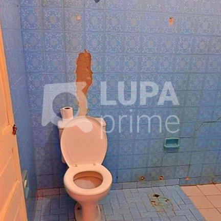 Imagem Casa com 3 Quartos à Venda, 189 m² em Vila Maria Alta - São Paulo