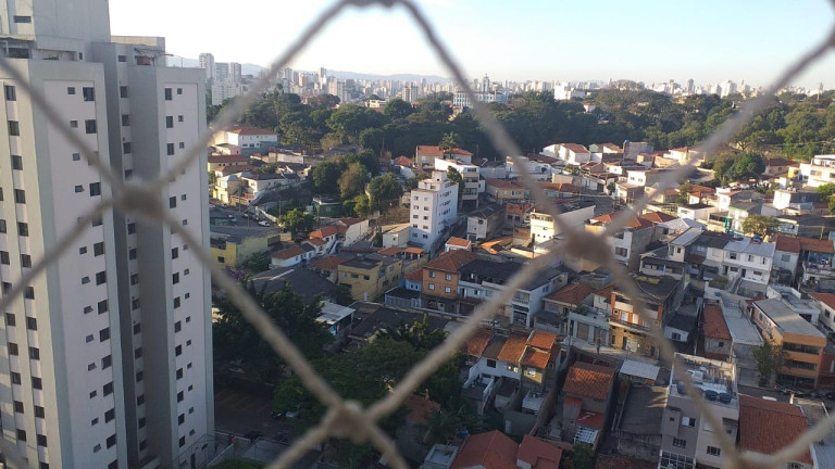 Imagem Imóvel com 3 Quartos à Venda, 87 m² em Vila Firmiano Pinto - São Paulo Imagem Imóvel com 3 Quartos à Venda, 87 m² em Vila Firmiano Pinto - São Paulo