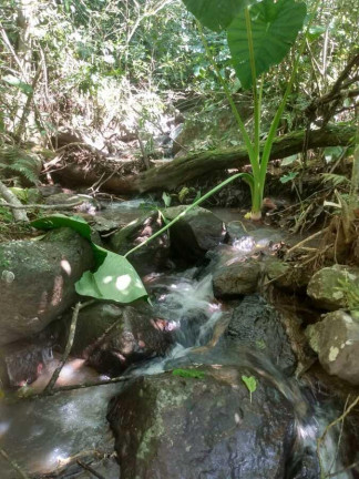 Imagem Imóvel à Venda, 7.700 m² em Voluntária Baixa - Igrejinha Imagem Imóvel à Venda, 7.700 m² em Voluntária Baixa - Igrejinha