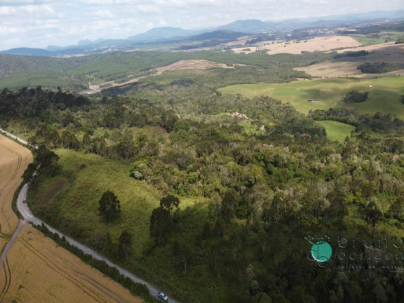 Imagem Imóvel com 2 Quartos à Venda, 500.000 m² em Interior - Otacílio Costa Imagem Imóvel com 2 Quartos à Venda, 500.000 m² em Interior - Otacílio Costa