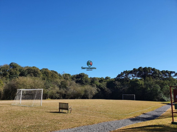 Imagem Terreno à Venda, 1.128 m² em Pinheiro Grosso - Canela Imagem Terreno à Venda, 1.128 m² em Pinheiro Grosso - Canela