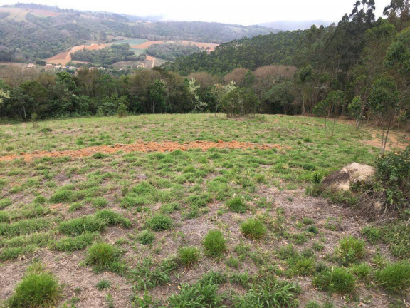 Imagem Chácara à Venda, 24.200 m² em Piedade Imagem Chácara à Venda, 24.200 m² em Piedade
