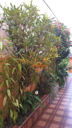 Imagem Sobrado com 3 Quartos à Venda, 165 m² em Jardim Bela Vista - Guarulhos Imagem Sobrado com 3 Quartos à Venda, 165 m² em Jardim Bela Vista - Guarulhos