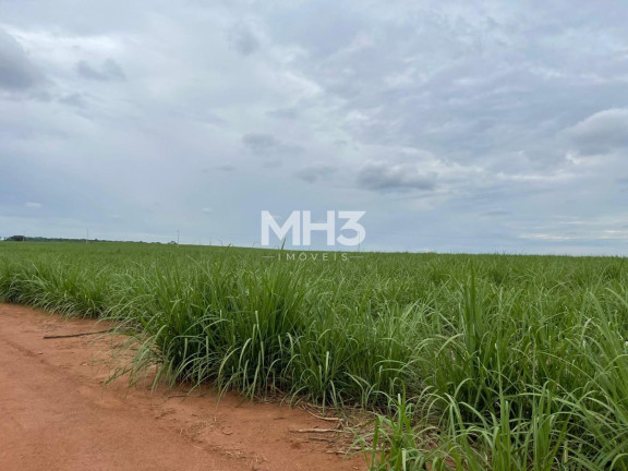Imagem Imóvel com 8 Quartos à Venda, 5.300 m² em Centro - Piumhi Imagem Imóvel com 8 Quartos à Venda, 5.300 m² em Centro - Piumhi