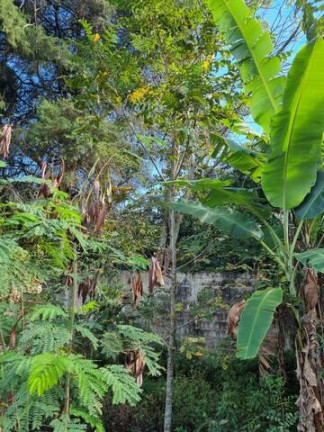 Imagem Chácara com 3 Quartos à Venda, 2.000 m² em Ciriaco - Piedade Imagem Chácara com 3 Quartos à Venda, 2.000 m² em Ciriaco - Piedade