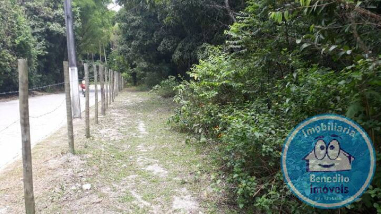 Imagem Terreno à Venda, 1 m² em Trancoso - Porto Seguro Imagem Terreno à Venda, 1 m² em Trancoso - Porto Seguro