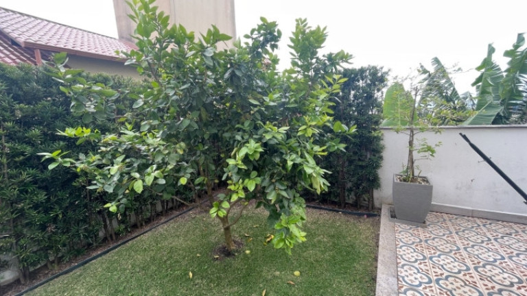 Apartamento com 4 Quartos à Venda, 240 m² em Canasvieiras - Florianópolis