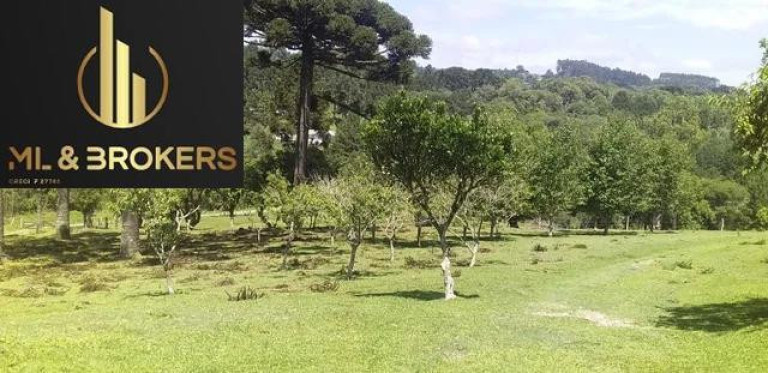Imagem Imóvel com 2 Quartos à Venda, 81.000 m² em Agua Amarela - Antonio Olinto Imagem Imóvel com 2 Quartos à Venda, 81.000 m² em Agua Amarela - Antonio Olinto