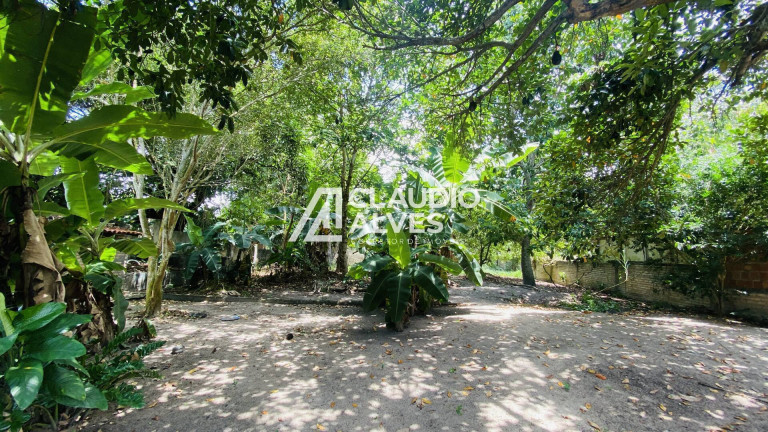 Imagem Chácara com 2 Quartos à Venda, 2 m² em Chaparral - Feira De Santana Imagem Chácara com 2 Quartos à Venda, 2 m² em Chaparral - Feira De Santana