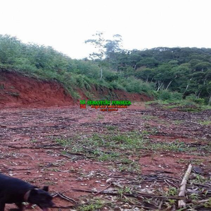Imagem Chácara à Venda, 3 m² em Centro - Monteiro Lobato Imagem Chácara à Venda, 3 m² em Centro - Monteiro Lobato