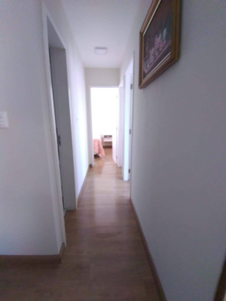 Imagem Apartamento com 3 Quartos à Venda, 80 m² em Vila Das Mercês - São Paulo Imagem Apartamento com 3 Quartos à Venda, 80 m² em Vila Das Mercês - São Paulo